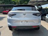 ALFA ROMEO Stelvio 2.2 TD 210CV AT8 Q4 Veloce MY24 #VARI COLORI