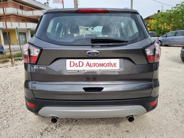 FORD Kuga 1.5 TDCI 120 CV S&S 2WD Business Immagine 4