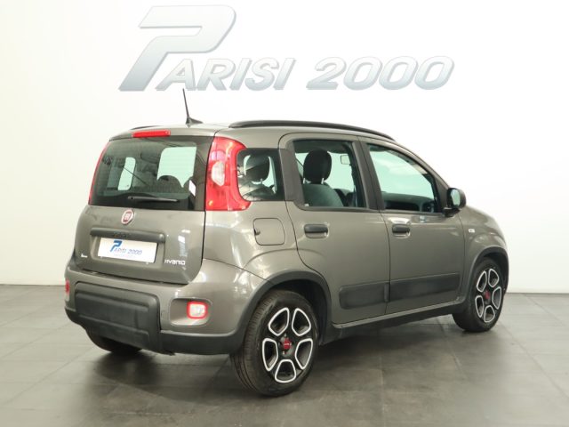 FIAT Panda 1.0 70CV City Life Hybrid *PROMO ESTATE* Immagine 2