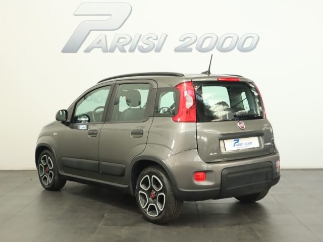 FIAT Panda 1.0 70CV City Life Hybrid *PROMO ESTATE* Immagine 3