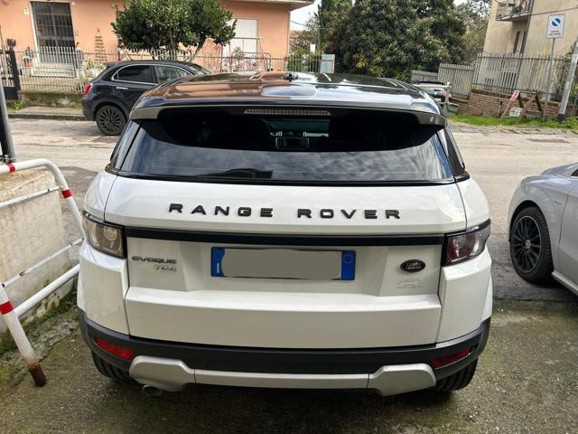 LAND ROVER Range Rover Evoque 2.2 TD4 5p. Dynamic Immagine 3