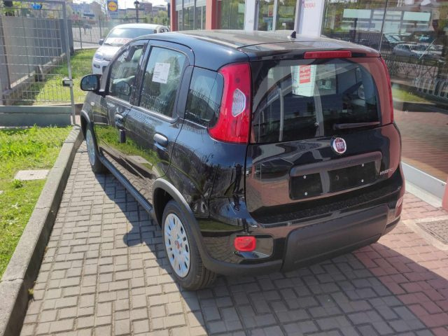 FIAT Panda 1.0 FireFly S&S Hybrid PROMO Immagine 4