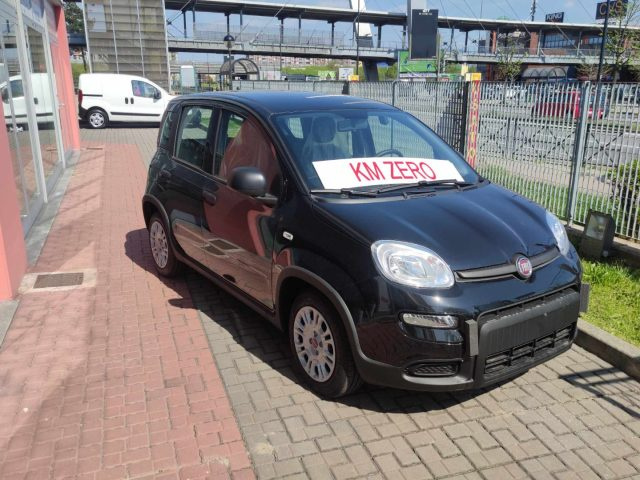 FIAT Panda 1.0 FireFly S&S Hybrid PROMO Immagine 1