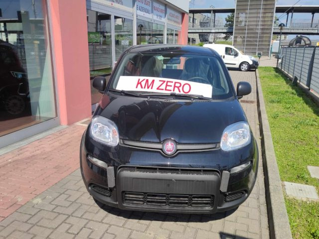 FIAT Panda 1.0 FireFly S&S Hybrid PROMO Immagine 2