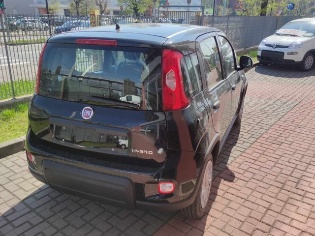 FIAT Panda 1.0 FireFly S&S Hybrid PROMO Immagine 3