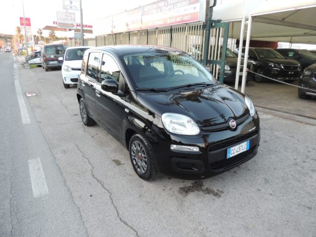 FIAT Panda 1.0 FireFly S&S Hybrid Immagine 3