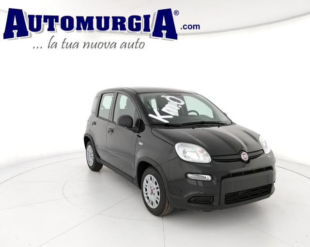 FIAT Panda 1.0 FireFly S&S Hybrid Immagine 4