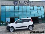 FIAT Panda 1.3 MJT 4x4 2 POSTI VAN