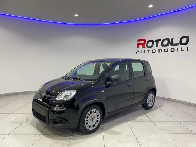 FIAT New Panda MY24 - SENZA FINANZIAMENTO !!! Immagine 2