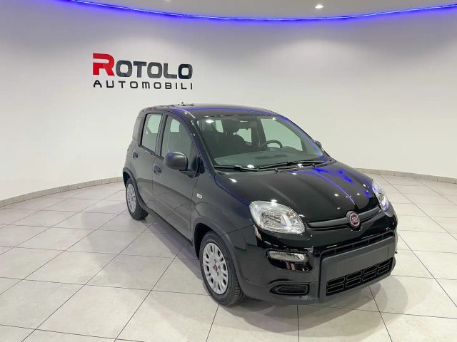 FIAT New Panda MY24 - SENZA FINANZIAMENTO !!! Immagine 3