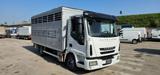 IVECO EUROCARGO 100E22 TRASPORTO ANIMALI MT5.10+SPONDA