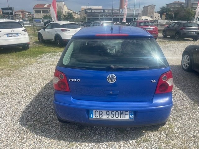 VOLKSWAGEN Polo 1.4 16V 3p. NEOPATENTATI Immagine 4