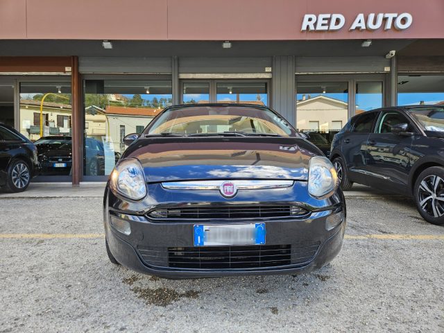 FIAT Punto Evo 1.2 5 porte S&S Active RedAuto Immagine 1