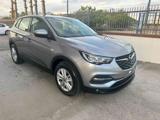 OPEL Grandland 1.5 d 130cv aut. Business Elegance