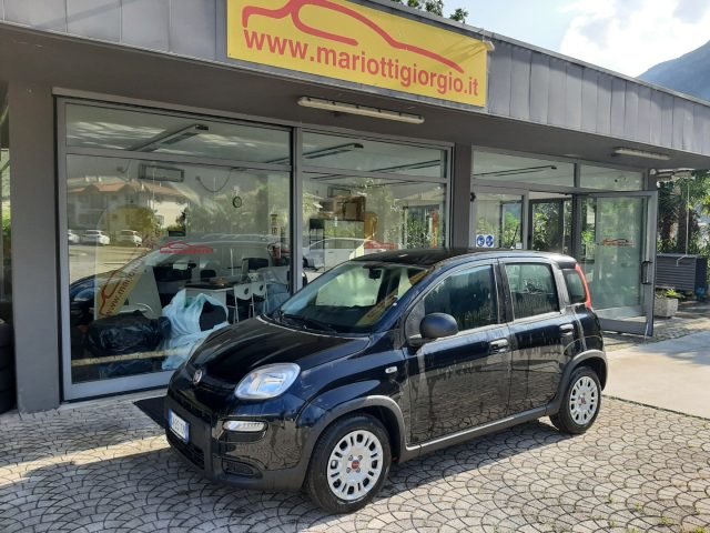 FIAT Panda 1.0 FireFly S&S Hybrid Ok NEOPATENTATI Immagine 0