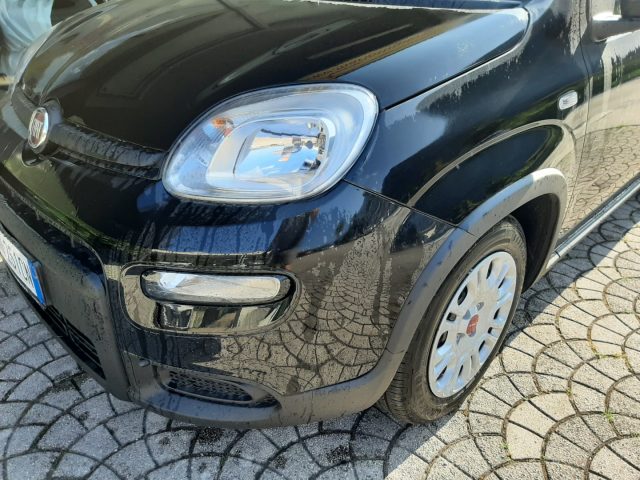 FIAT Panda 1.0 FireFly S&S Hybrid Ok NEOPATENTATI Immagine 1