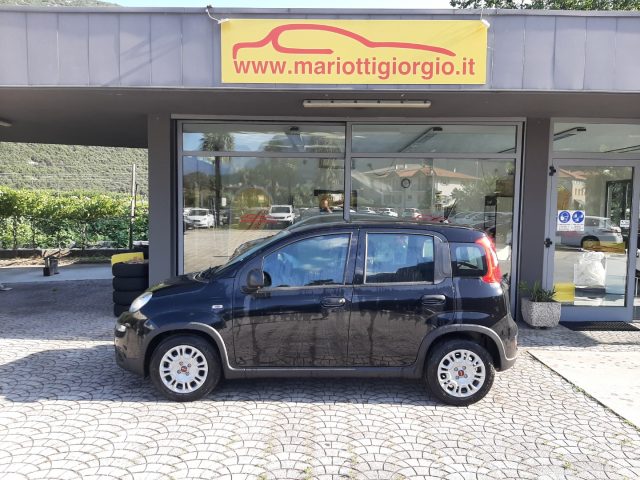 FIAT Panda 1.0 FireFly S&S Hybrid Ok NEOPATENTATI Immagine 4