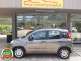 FIAT Panda 1.0 FireFly S&S Hybrid OK NEOPATENTATI-  -