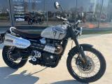 TRIUMPH Scrambler X