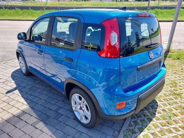 FIAT Panda 1.0 70cv Hybrid Panda My23 Immagine 3