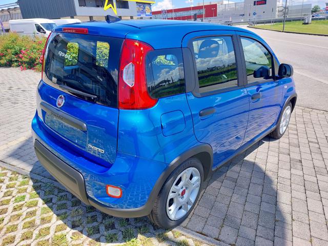 FIAT Panda 1.0 70cv Hybrid Panda My23 Immagine 2