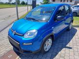 FIAT Panda 1.0 70cv Hybrid Panda My23