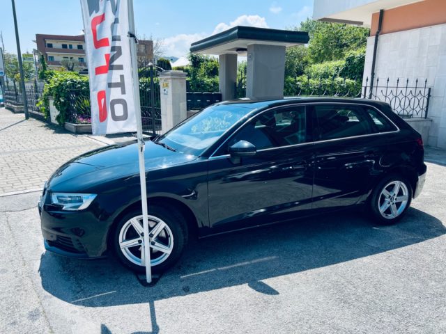 AUDI A3 SPB 1.6 TDI Sport XENO - NAVI Immagine 1