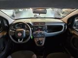 FIAT Panda 1.2 69cv Connected by Wind S S