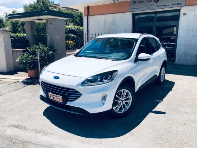 FORD Kuga 1.5 EcoBlue 120 CV aut. 2WD Titanium Business Immagine 0