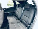 FORD Kuga 1.5 EcoBlue 120 CV aut. 2WD Titanium Business