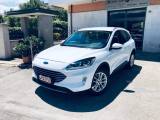 FORD Kuga 1.5 EcoBlue 120 CV aut. 2WD Titanium Business