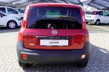 FIAT New Panda 1.3 MJT S&S Pop Van 2 posti Euro 6B
