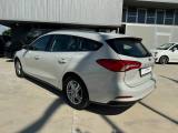 FORD Focus 1.5 EcoBlue 120 CV SW Business IN ARRIVO
