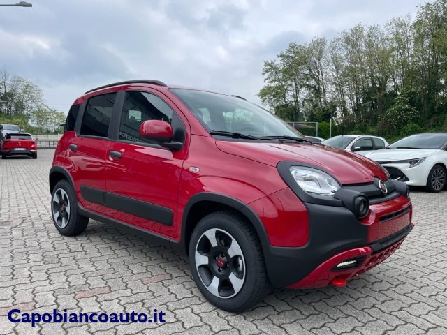 FIAT Panda Cross 1.0 FireFly S&S Hybrid ROSSO PASSIONE+UCONNECT 7" Immagine 2