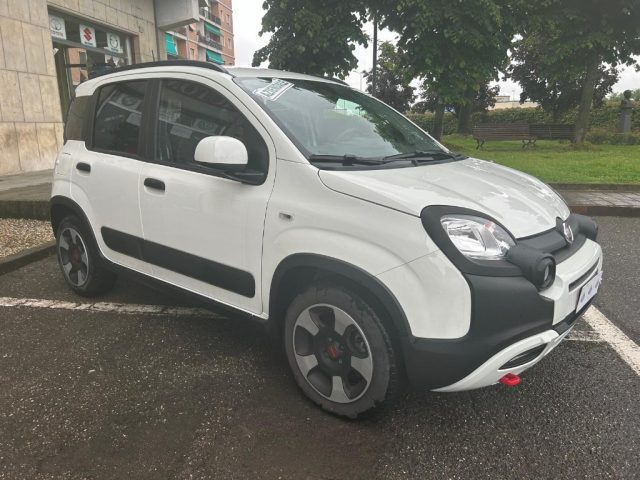 FIAT Panda Cross 1.0 FireFly S&S Hybrid  Cross Immagine 3