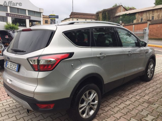 FORD Kuga 1.5 TDCI 120 CV S&S 2WD Titanium Business Immagine 3