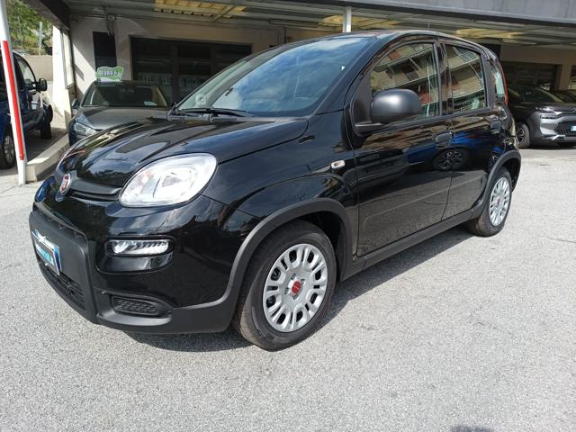 FIAT Panda 1.0 Hybrid - KM.ZERO - PRONTA CONSEGNA Immagine 0