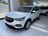 OPEL Grandland X 1.5 diesel Ecotec Ss Business Edition da?199,00