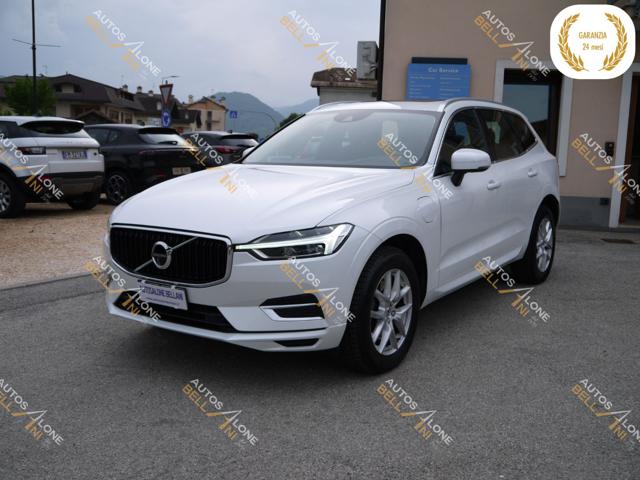 VOLVO XC60 T8 Twin Engine AWD Geartronic Business Plus Immagine 2