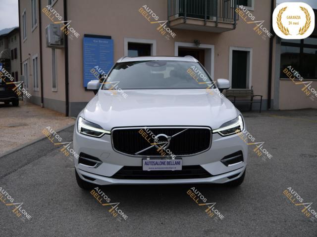 VOLVO XC60 T8 Twin Engine AWD Geartronic Business Plus Immagine 1