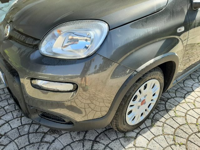 FIAT Panda 1.0 FireFly S&S Hybrid Ok Neopatentati Immagine 1