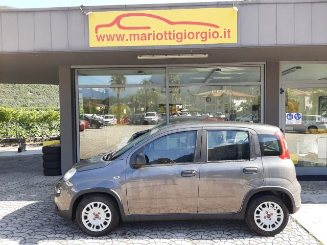 FIAT Panda 1.0 FireFly S&S Hybrid Ok Neopatentati Immagine 4