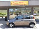 FIAT Panda 1.0 FireFly S&S Hybrid Ok Neopatentati