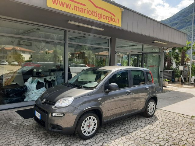 FIAT Panda 1.0 FireFly S&S Hybrid Ok Neopatentati Immagine 0