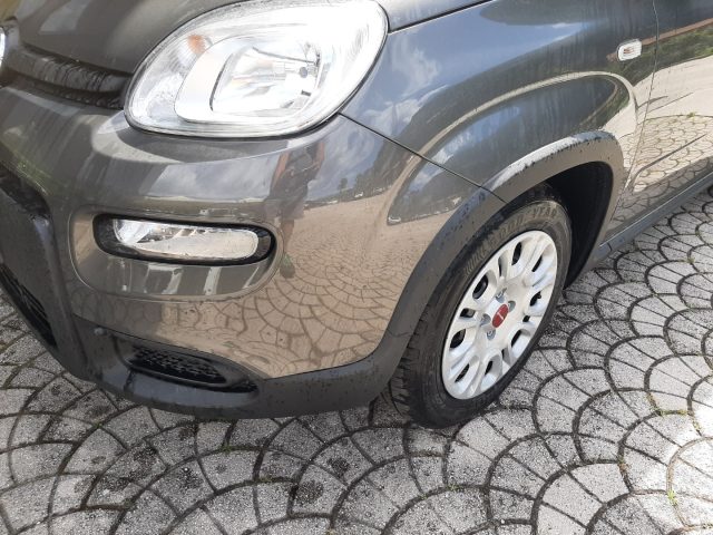 FIAT Panda 1.0 FireFly S&S Hybrid Ok Neopatentati Immagine 1