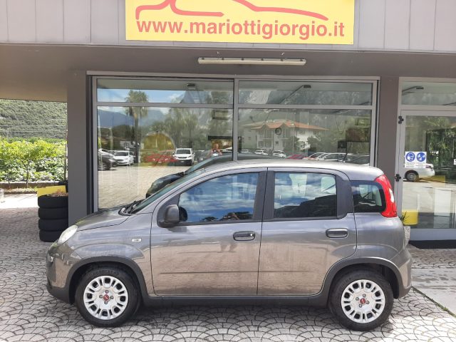 FIAT Panda 1.0 FireFly S&S Hybrid Ok Neopatentati Immagine 4