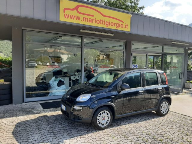 FIAT Panda 1.0 FireFly S&S Hybrid Ok Neopatentati Immagine 0