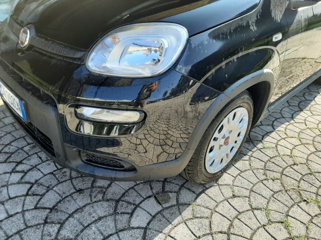 FIAT Panda 1.0 FireFly S&S Hybrid Ok Neopatentati Immagine 1