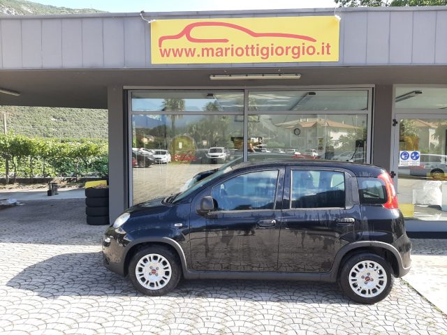 FIAT Panda 1.0 FireFly S&S Hybrid Ok Neopatentati Immagine 4