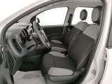 FIAT Panda 1.0 FireFly S&S Hybrid 5 Posti